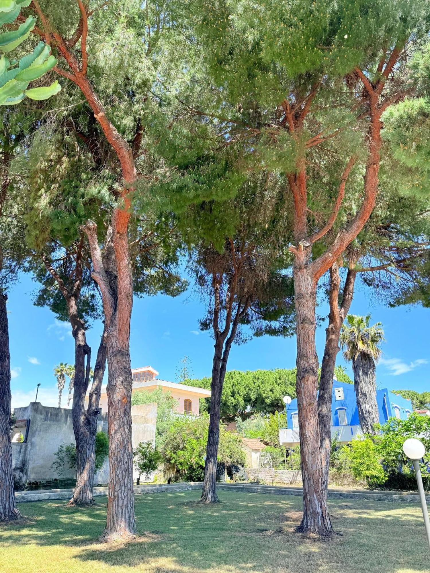 Nido Colorato B&B Fontane Bianche Exterior foto